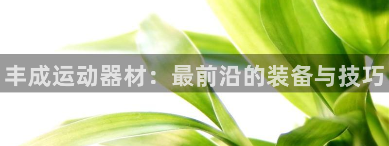 哈哈体育平台注册要钱吗安全吗:丰成运动器材:最前沿的装备与技